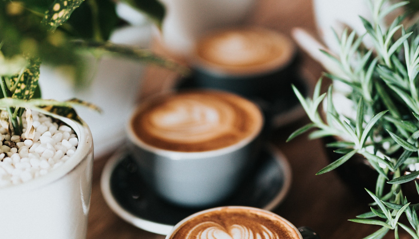 Best Cafes in Seoul 2026: Specialty Coffee & Unique Spots